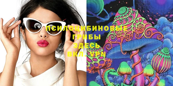 ПСИЛОЦИБИНОВЫЕ ГРИБЫ Аркадак